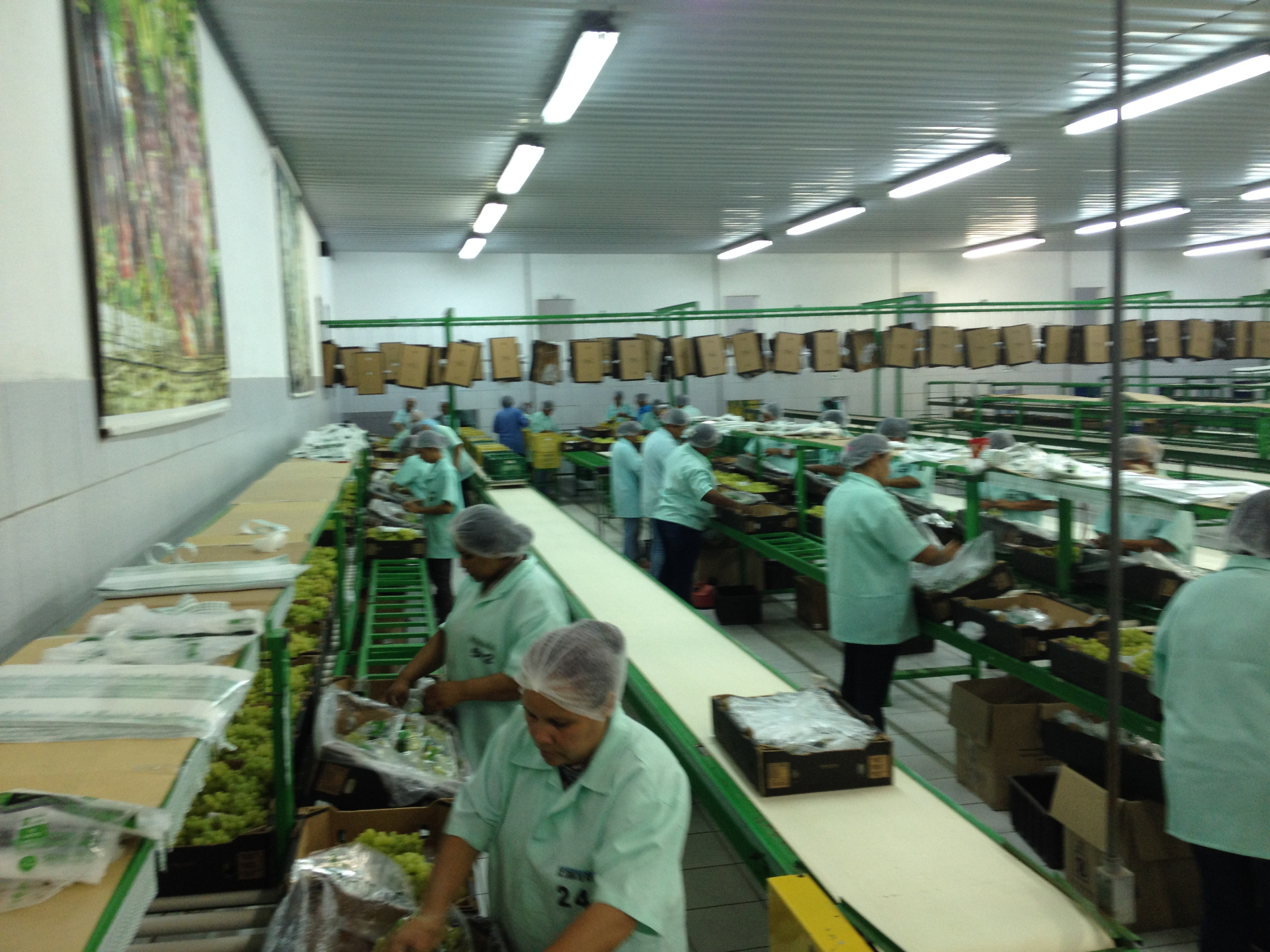 Packing house