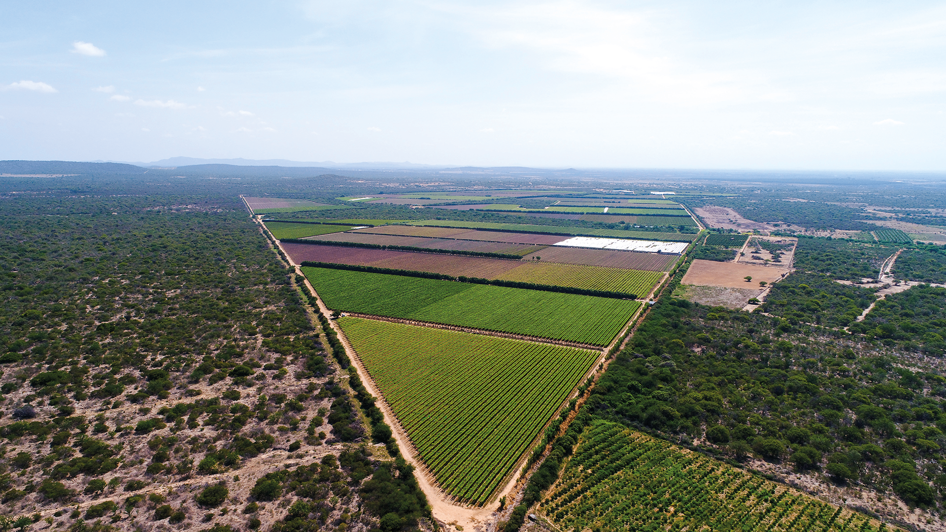 Fazenda Terra do Sol
