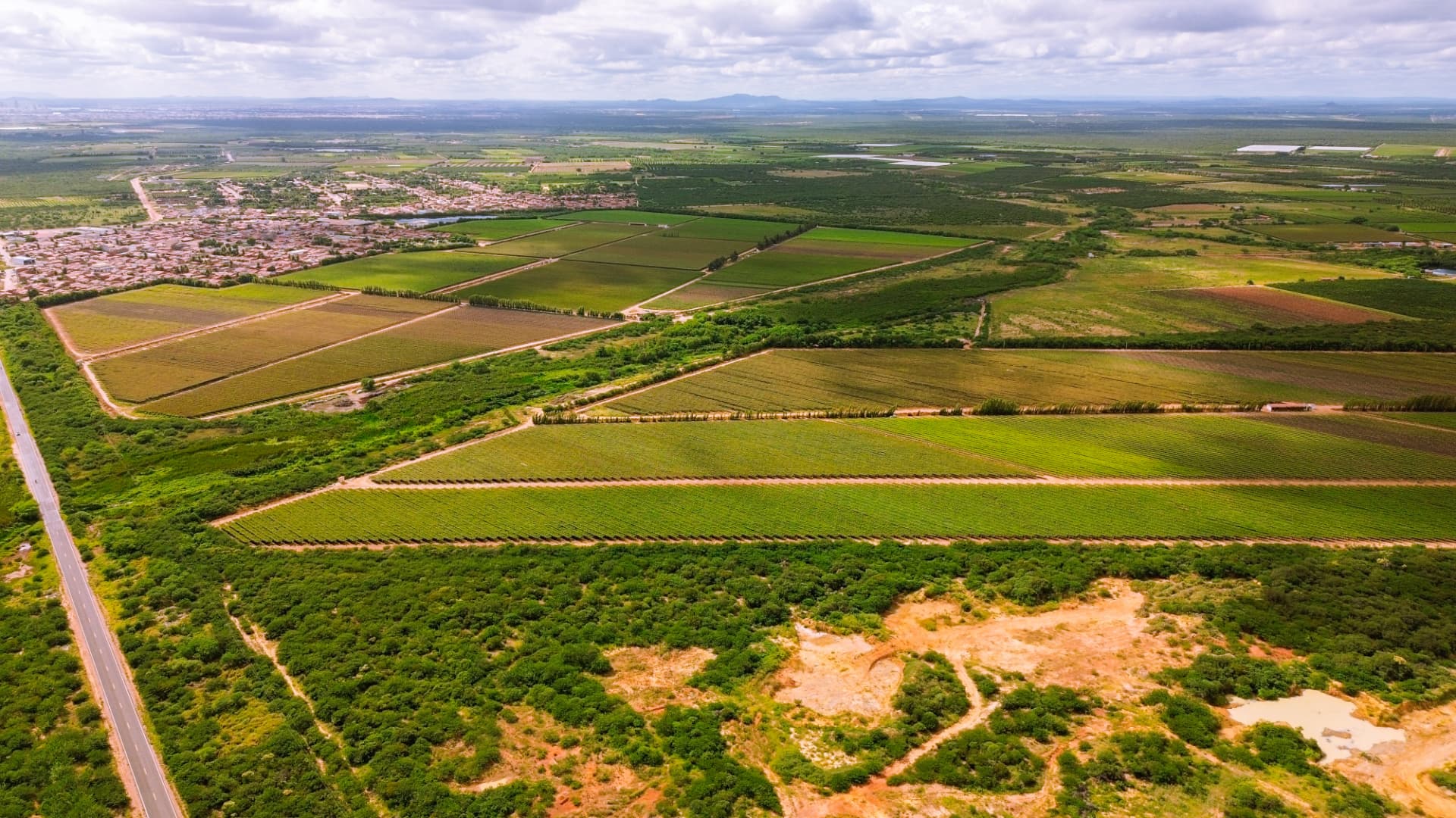 Fazenda Frutos do Sol